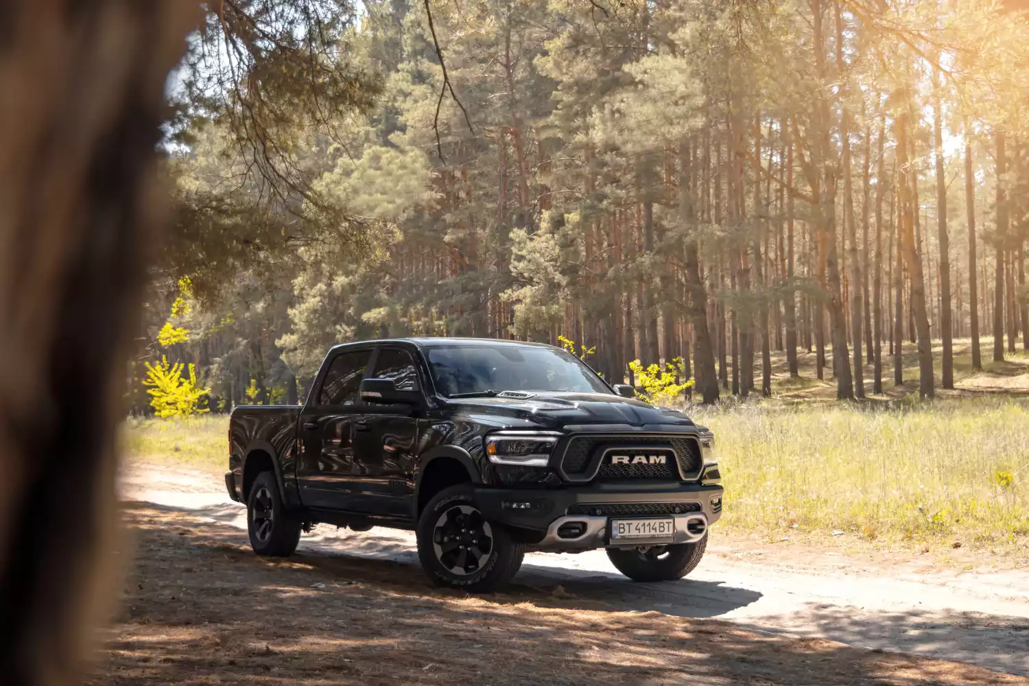 Ram Truck rear storage