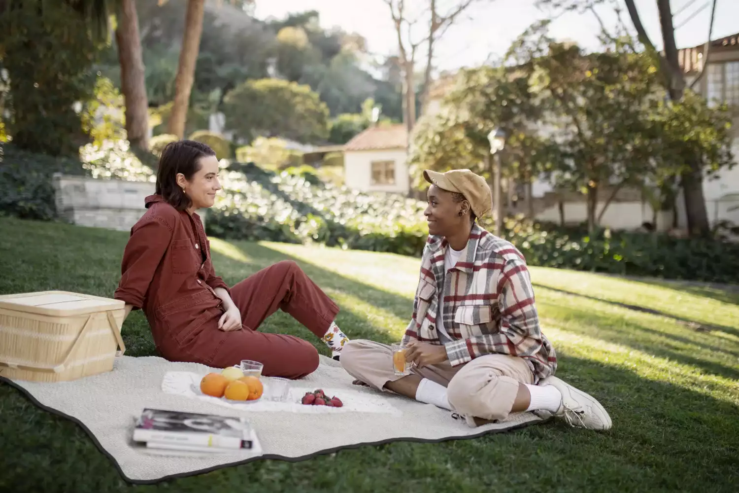 park picnic blanket