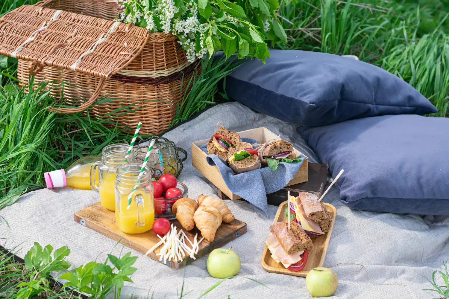 good picnic blankets