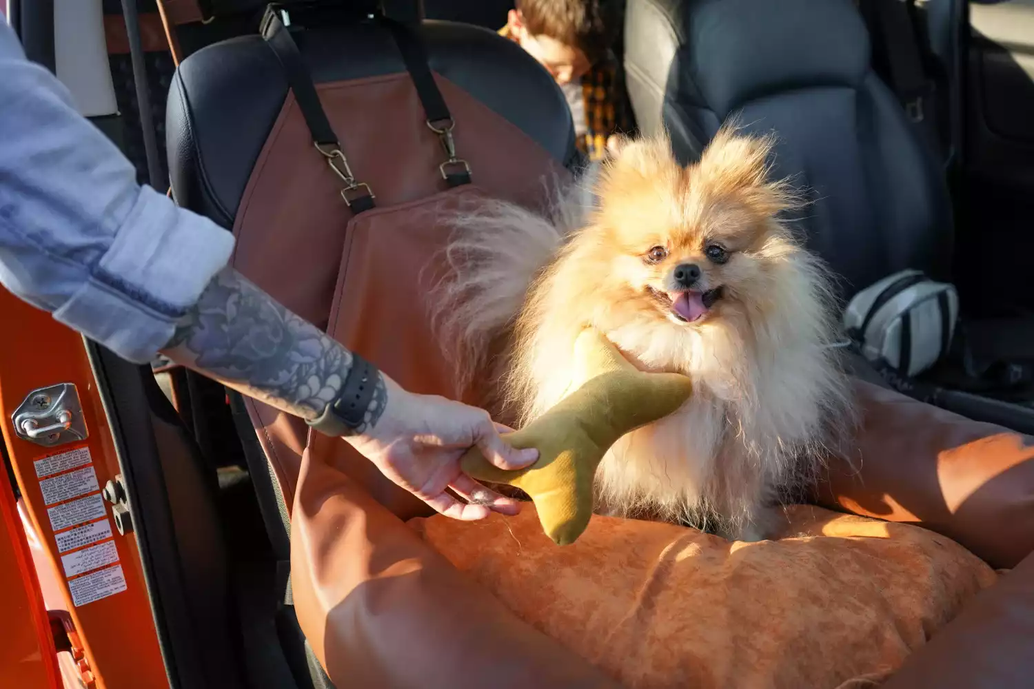 Pekingese Dog Car Seat for Lexus RX