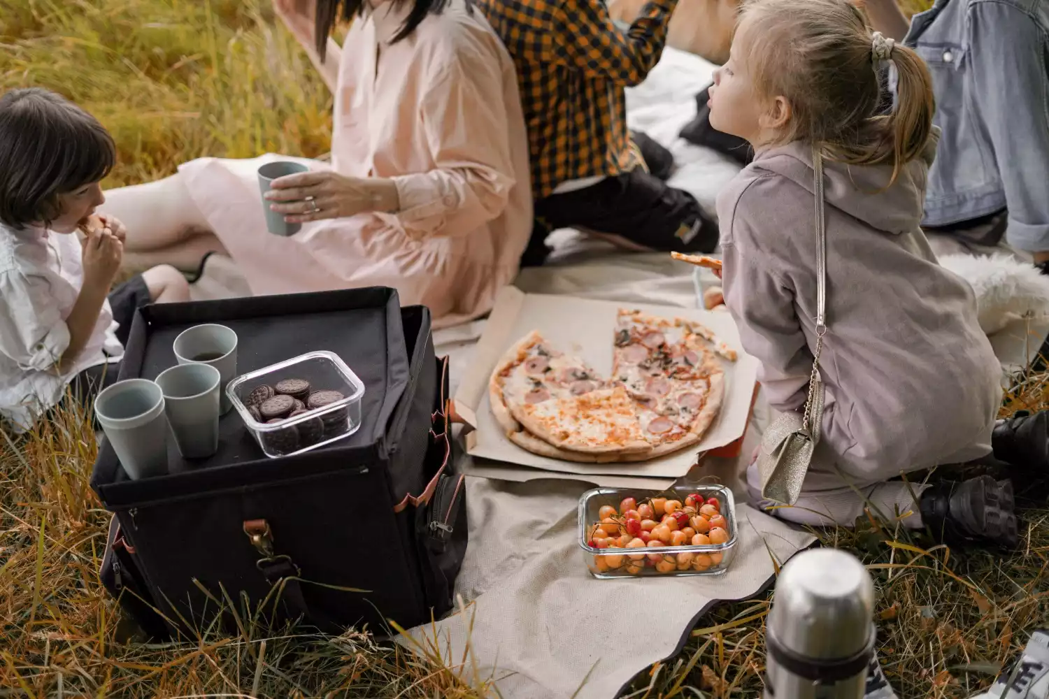 roll up picnic blanket