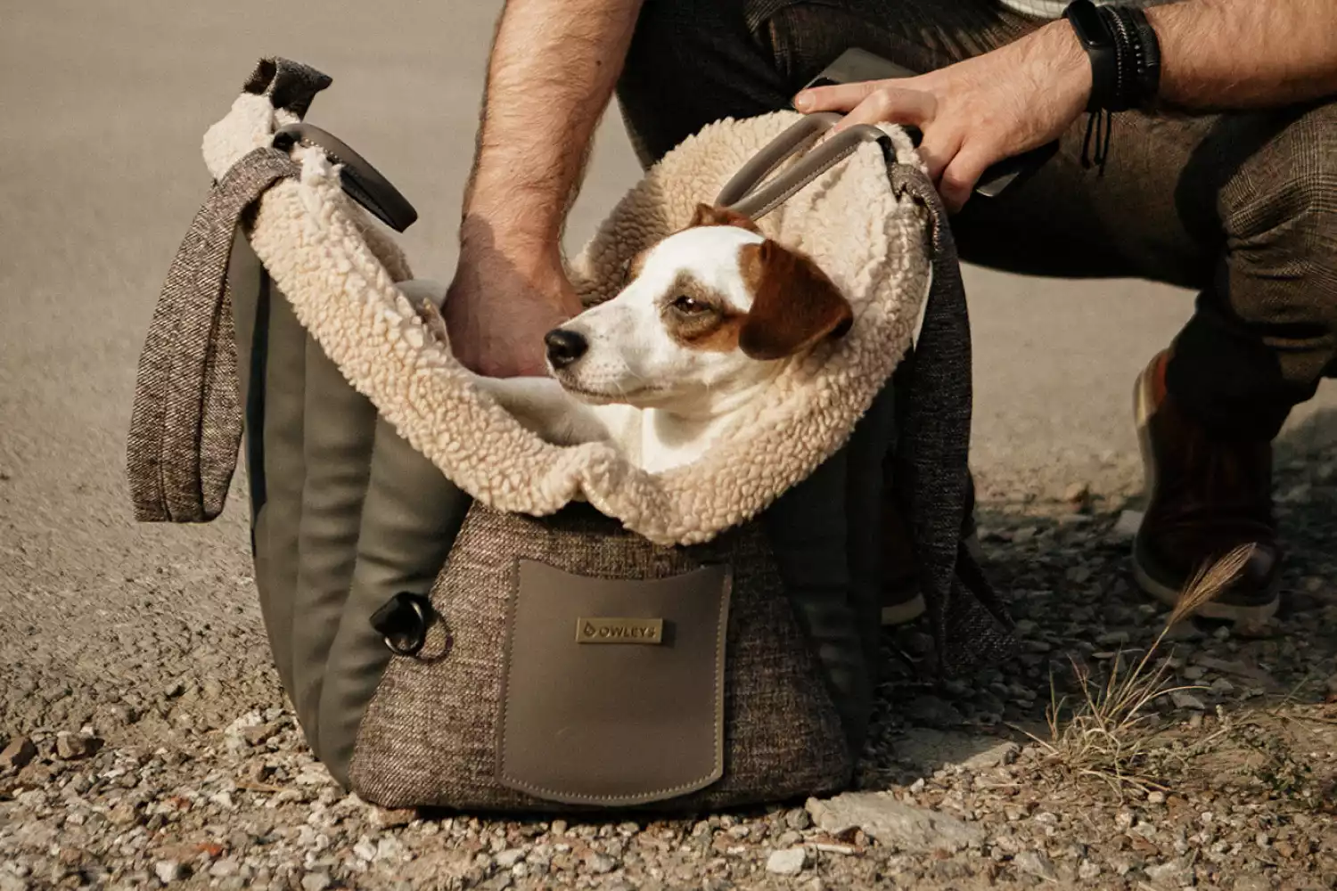 Volkswagen Jetta Dog Carrier Car Seat for English Toy Spaniel