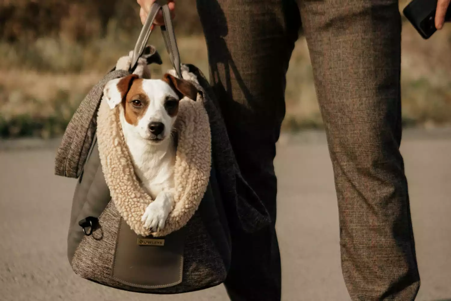 Dog Carrier Purse for English Toy Spaniel