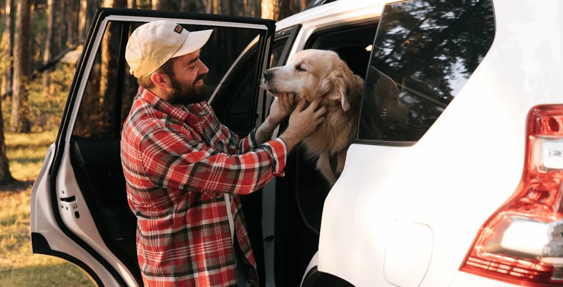 Chevrolet Silverado Dog Safety Belt for Wirehaired Pointing Griffons