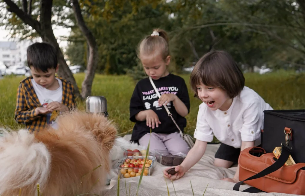 waterproof picnic blanket washable