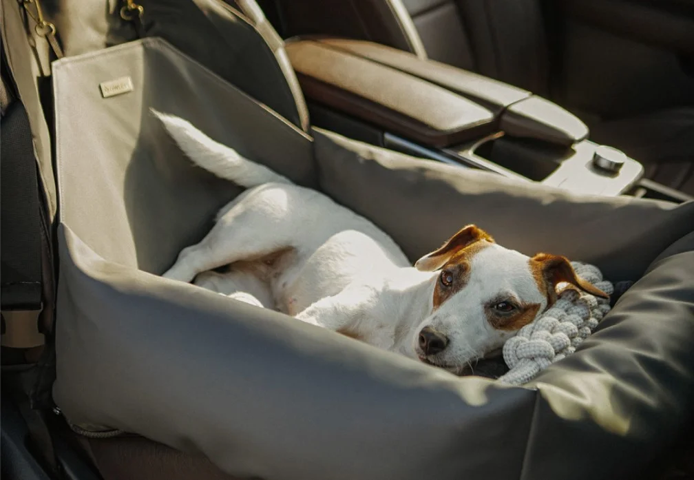 Toyota Tacoma Dog Car Seat for Bedlington Terriers