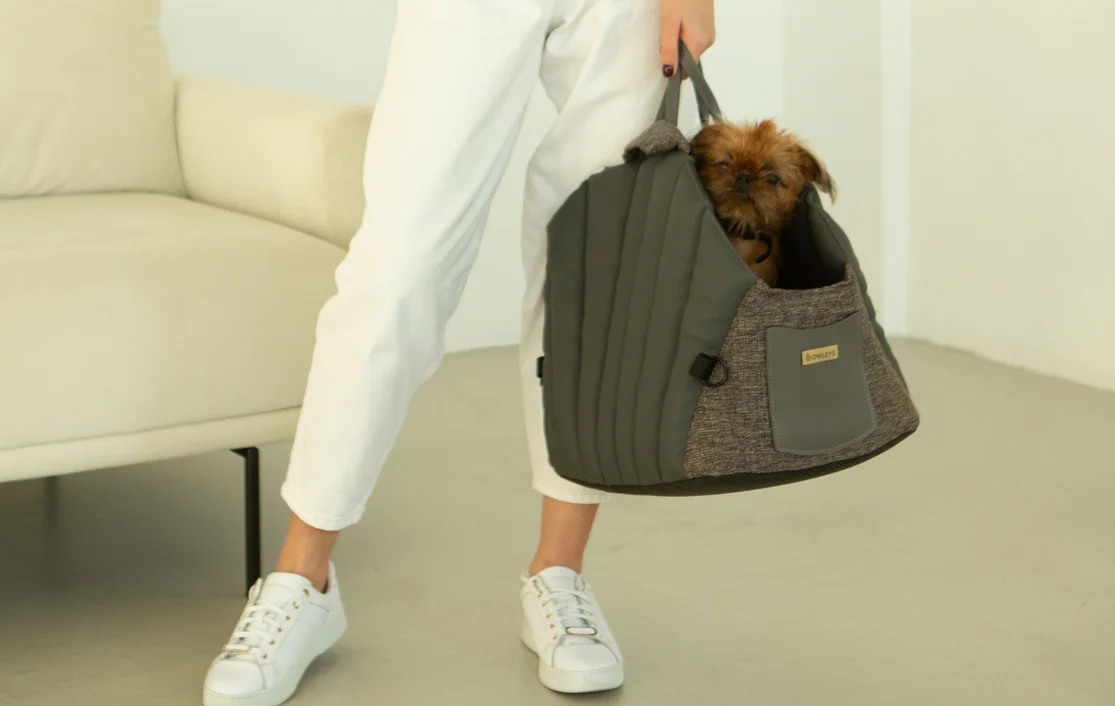 Dog Carrier Purse for Havanese