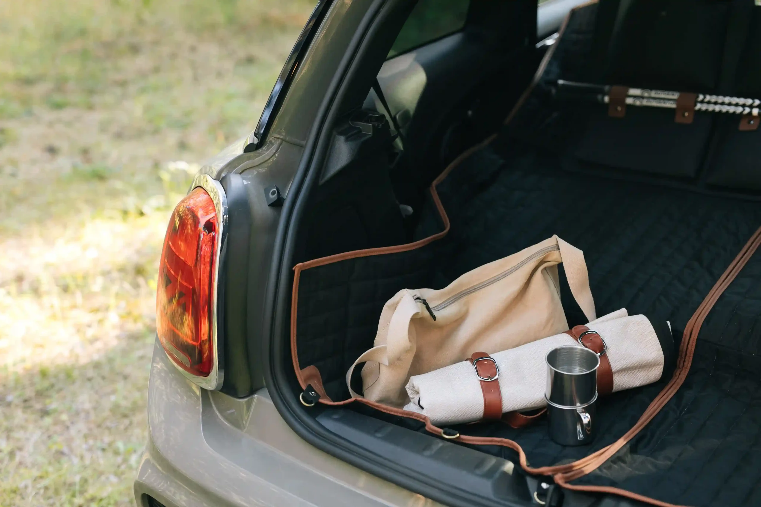 roll up picnic blankets