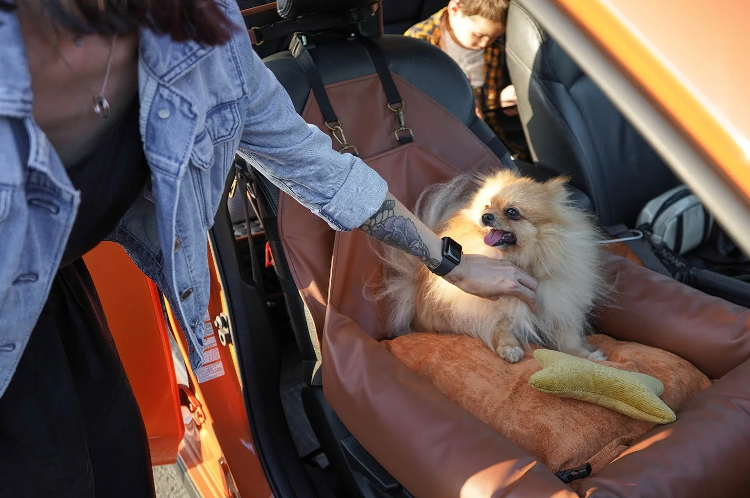 Audi A4 Dog Car Seat for Glen of Imaal Terriers